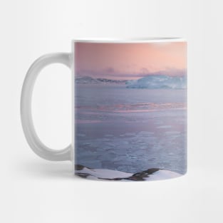 Frozen Lands Mug